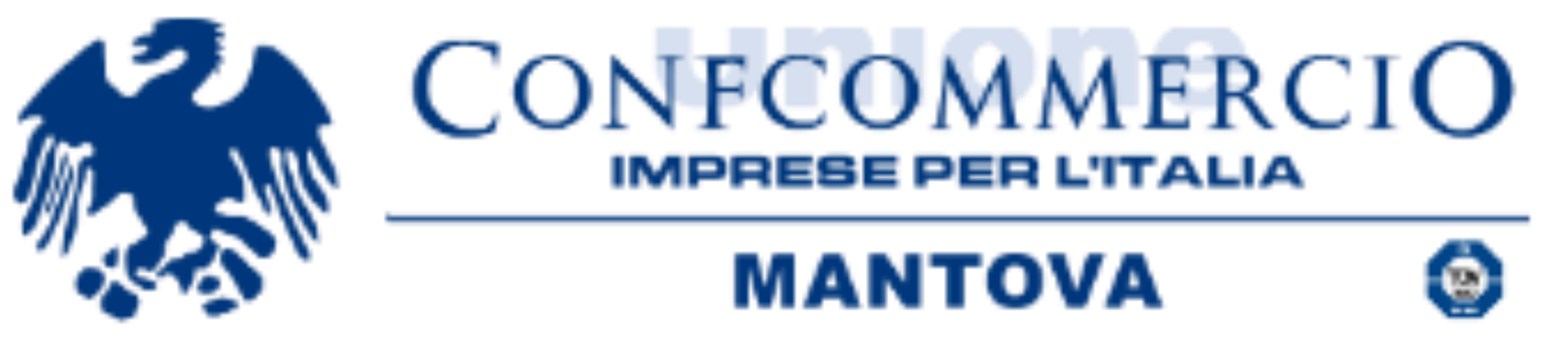 Immagine articolo
