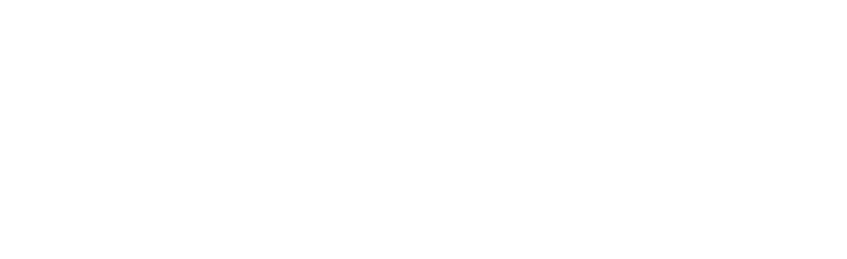 ARES S.r.l Logo